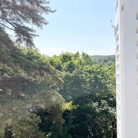 Appartement La Des Amis Étretat